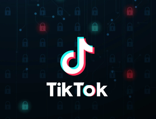 tiktok直播使用專線網(wǎng)絡(luò)的費(fèi)用需要多少？.png